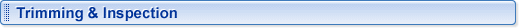 Trimming & Inspection